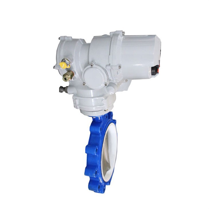 Modbus TCP Hart High Performance Butterfly Valve