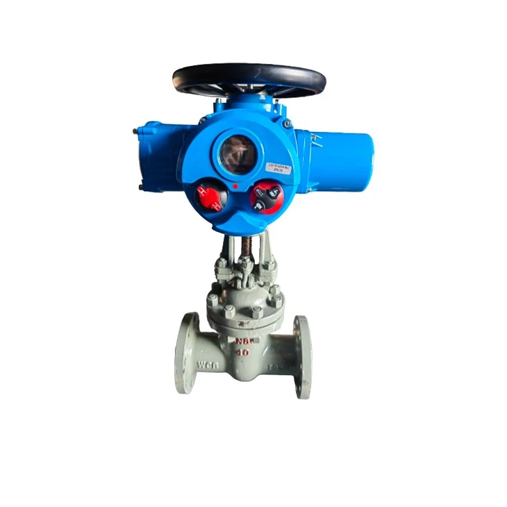 Rising Stem Electric High Pressure Gate Valve