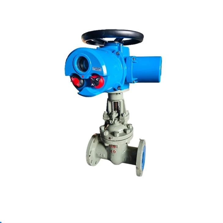 Rising Stem Electric High Pressure Gate Valve